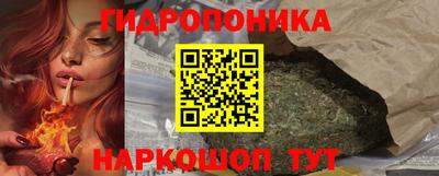 индика Кинель