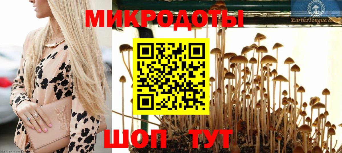 наркота  Псилоцибиновые грибы Magic Shrooms  Псилоцибиновые грибы ЛСД  Вход с VPN  Конаково 